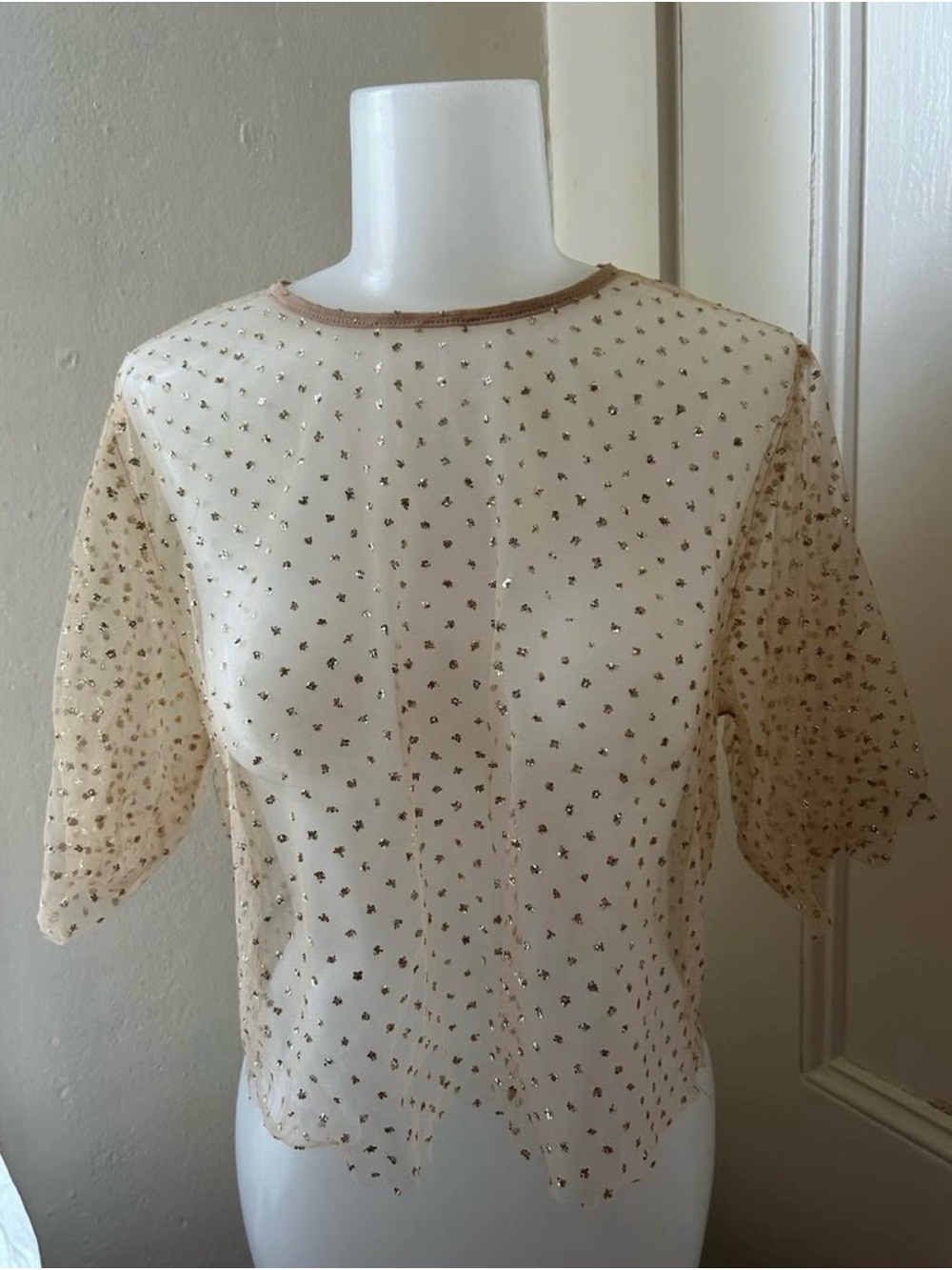 Sheer Gold Glitter Top XS/S